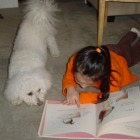 therapy dogs for kids