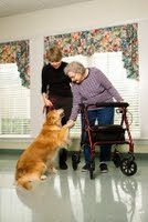 Therapy dog greeting the elderly